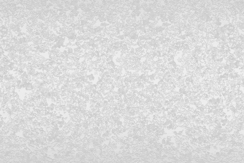 Стеновая панель № 63 Белый королевский жемчуг